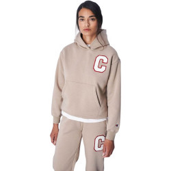 Champion Wmsn Hooded Sweatshirt Brown