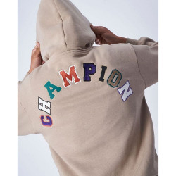 Champion Wmsn Hooded Sweatshirt Brown