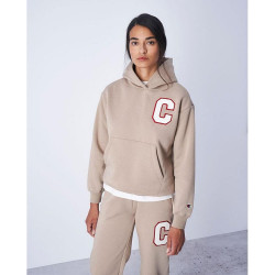 Champion Wmsn Hooded Sweatshirt Brown