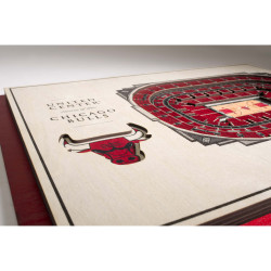 3D Stadium View Chicago Bulls (40,3 x 30,3 cm)