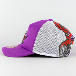 Mitchell & Ness OFF THE BACKBOARD TRUCKER HWC TORONTO RAPTORS Purple / White