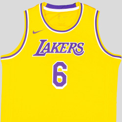 Nike Boys Icon Swingman Jersey - Player Los Angeles Lakers Lebron James – Nr. 6 Yellow/Purple