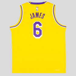 Nike Boys Icon Swingman Jersey - Player Los Angeles Lakers Lebron James – Nr. 6 Yellow/Purple
