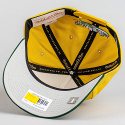 Šiltovka Mitchell & Ness NBA Harvest Gold Pro Crown Boston Celtics žlto-zelená