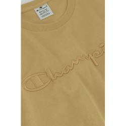 Champion Light Blue Embroidered Script Logo Cotton T-Shirt Brown