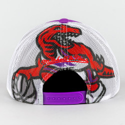 Mitchell & Ness OFF THE BACKBOARD TRUCKER HWC TORONTO RAPTORS Purple / White