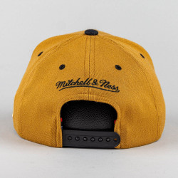 Šiltovka Mitchell & Ness Vancouver Grizzlies Team Arch Snapback hnedá
