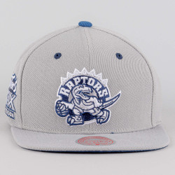 Mitchell & Ness The District Snapback Hwc Toronto Raptors Grey