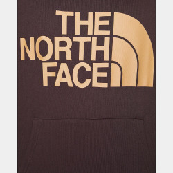 The North Face Men’S Standard Hoodie Colbrn/Almndbtr