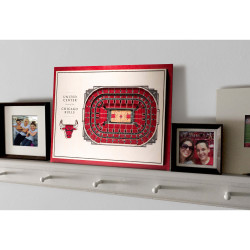 3D Stadium View Chicago Bulls (40,3 x 30,3 cm)