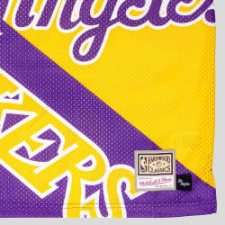 Mitchell And Ness Nba Big Face 5.0 Tank Top - 8-20Y Los Angeles Lakers Yellow/Purple/White