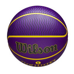 WILSON NBA PLAYER ICON - OUTDOOR - LEBRON Purple (sz. 7)