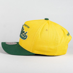 Šiltovka Mitchell & Ness NBA Harvest Gold Pro Crown Boston Celtics žlto-zelená
