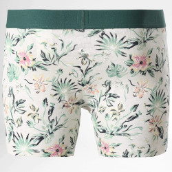 Levis Men Flower Aop Boxer Brief 2P Marshmellow/Green