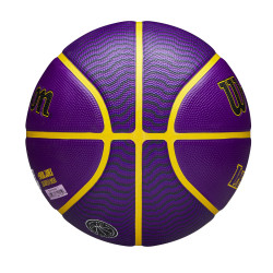 WILSON NBA PLAYER ICON - OUTDOOR - LEBRON Purple (sz. 7)