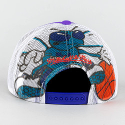 Mitchell & Ness OFF THE BACKBOARD TRUCKER HWC CHARLOTTE HORNETS Purple / White