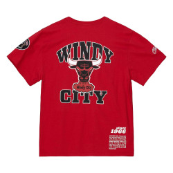 Mitchell & Ness Team Origins S/S Top Chicago Bulls Scarlet