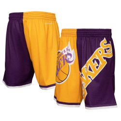 Mitchell And Ness Nba Big Face Shorts 5.0 - 8-20Y Los Angeles Lakers Yellow/Purple/White