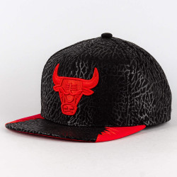 Mitchell & Ness NBA DAY 5 SNAPBACK CHICAGO BULLS BLACK / RED