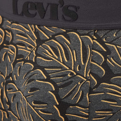 Levis Men Monstera Leaf Aop Boxer Brief (2-Pack) Black