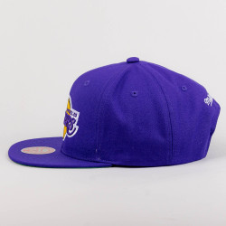 Mitchell & Ness NBA Conference Patch Snapback Los Angeles Lakers Purple