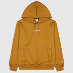 Champion Hooded Sweatshirt Brown