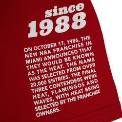 Mitchell & Ness Team Origins S/S Top Miami Heat Scarlet