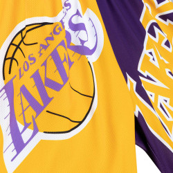 Mitchell And Ness Nba Big Face Shorts 5.0 - 8-20Y Los Angeles Lakers Yellow/Purple/White