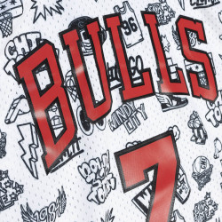 Mitchell & Ness NBA Doodle Swingman Jersey CHICAGO BULLS TONI KUKOC PATTERN / WHITE