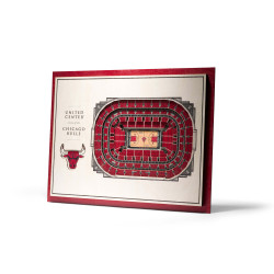 3D Stadium View Chicago Bulls (40,3 x 30,3 cm)