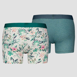 Levis Men Flower Aop Boxer Brief 2P Marshmellow/Green