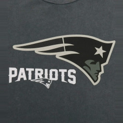 Tričko RE:COVERED x NFL New England Patriots Gray Logo šedé
