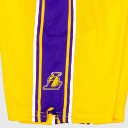 Nike Icon Replica Short Los Angeles Lakers Yellow/Purple