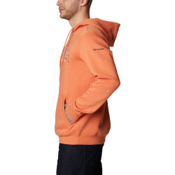 Columbia CSC Basic Logo™ II Hoodie Desert Orange