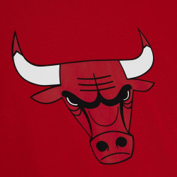 Mitchell & Ness Team Origins S/S Top Chicago Bulls Scarlet