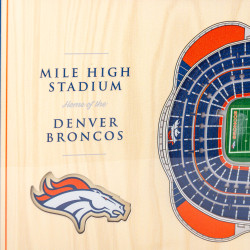 Youthefan NFL 3D Desktop Stadiumview Denver Broncos (30cm x 20cm)