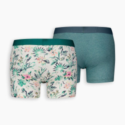 Levis Men Flower Aop Boxer Brief 2P Marshmellow/Green