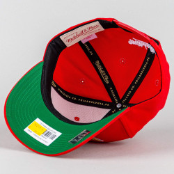 Šiltovka Mitchell & Ness NHL Ottawa Senators Team Ground 2.0 Pro Snapback červená