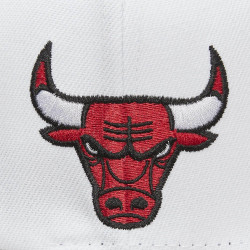 Mitchell & Ness NBA Fast Times Snapback Bulls Chicago Bulls White