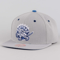 Mitchell & Ness The District Snapback Hwc Toronto Raptors Grey