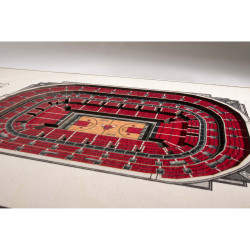3D Stadium View Chicago Bulls (40,3 x 30,3 cm)