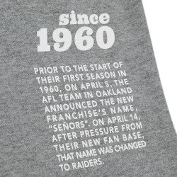 Mitchell & Ness Team Origins S/S Top Oakland Raiders Grey Heather