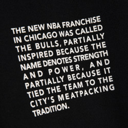 Mitchell & Ness Team Origins Fleece Hoody Chicago Bulls Black