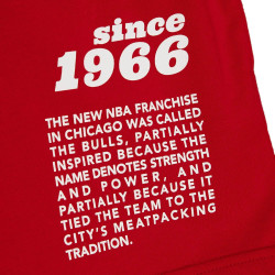 Mitchell & Ness Team Origins S/S Top Chicago Bulls Scarlet