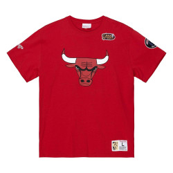 Mitchell & Ness Team Origins S/S Top Chicago Bulls Scarlet