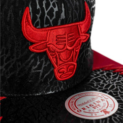 Mitchell & Ness NBA DAY 5 SNAPBACK CHICAGO BULLS BLACK / RED