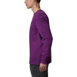 Columbia Bugasweat Crew Plum/Black