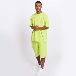 Lrg 47 Ss Knit Neon Green