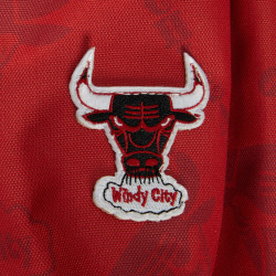 Mitchell & Ness NBA Team Logo Backpack Bulls Chicago Bulls Red