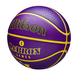 WILSON NBA PLAYER ICON - OUTDOOR - LEBRON Purple (sz. 7)